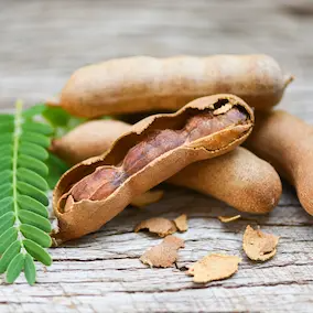Tamarind - Pineal Guardian ingredient